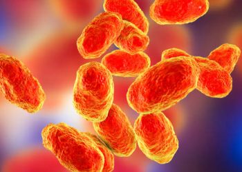 3D illustration of Haemophilus influenzae bacteria, a common cause of epiglottitis