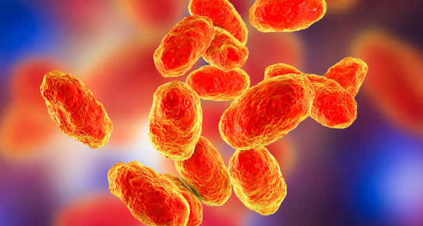 3D illustration of Haemophilus influenzae bacteria, a common cause of epiglottitis