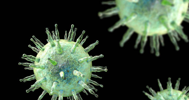 3D rendering of herpes simplex virus, a common cause of erythema multiforme