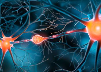 3D illustration of neural pathways and synapses