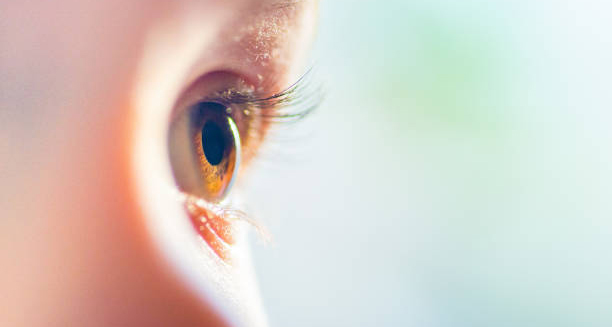 Close-up of a child's eye with visible light reflection