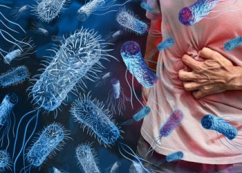 Illustration of bacteria causing cholera and a person clutching their stomach in pain