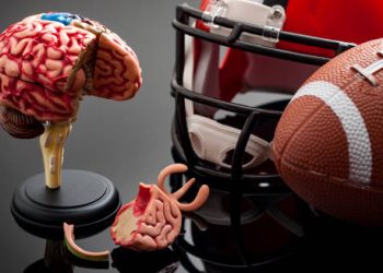 Anatomical brain model next to football helmet and ball symbolising chronic traumatic encephalopathy in athletes.
