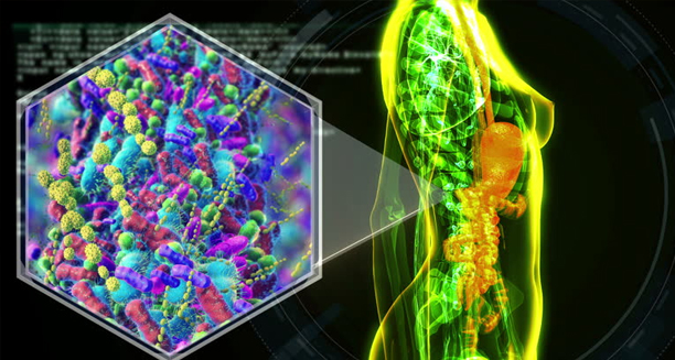 Digital representation of coeliac disease affecting the digestive tract