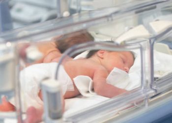 Newborn twins in neonatal incubator care unit