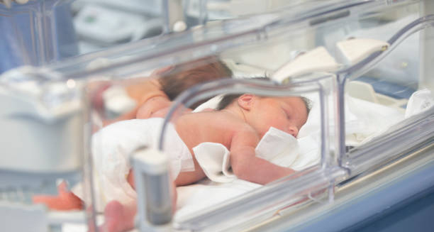 Newborn twins in neonatal incubator care unit