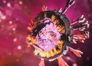 3D illustration of cytomegalovirus (CMV) structure under microscope