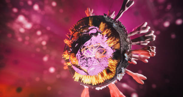 3D illustration of cytomegalovirus (CMV) structure under microscope