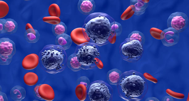 Blood cell illustration showing abnormal white cells used for diagnosing chronic myeloid leukaemia