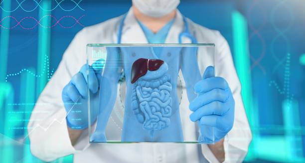 Doctor holding a digital scan showing liver and digestive organs for cirrhosis diagnosis.