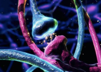 3D illustration of synaptic communication in the brain