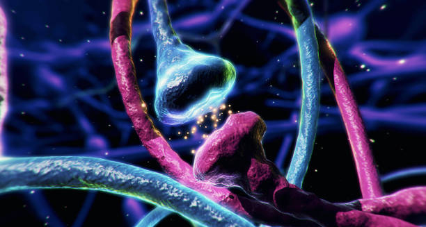 3D illustration of synaptic communication in the brain
