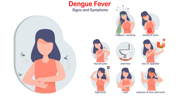 Illustrated symptoms of dengue fever including rash, high fever, and vomiting