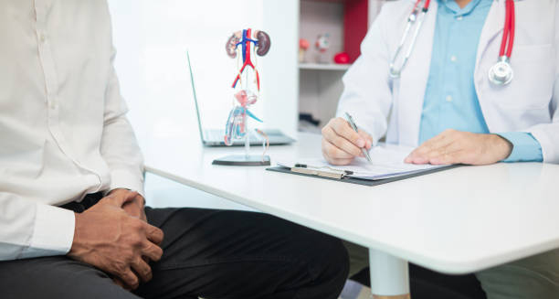 Doctor consulting a male patient about erectile health with anatomical model on the desk