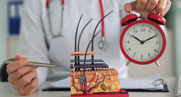 Doctor with skin model and clock discussing sweat gland activity