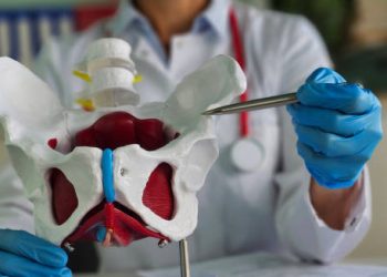 Doctor pointing at pelvic model with a pen