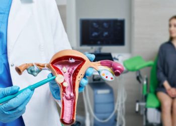 Gynaecologist explaining fibroid diagnosis with anatomical uterus model