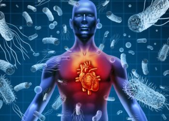 Digital illustration of endocarditis affecting the human heart with surrounding bacteria.