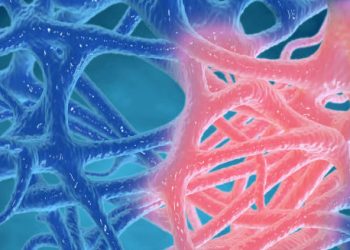 Abstract 3D rendering of nerve and cellular inflammation representing CMV symptoms