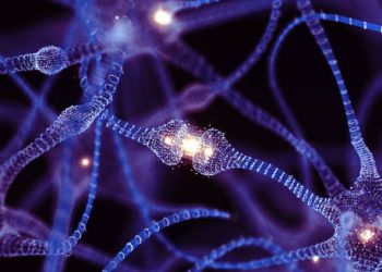 Digital illustration of brain neurons and synapses symbolising neurological treatment for chronic traumatic encephalopathy.