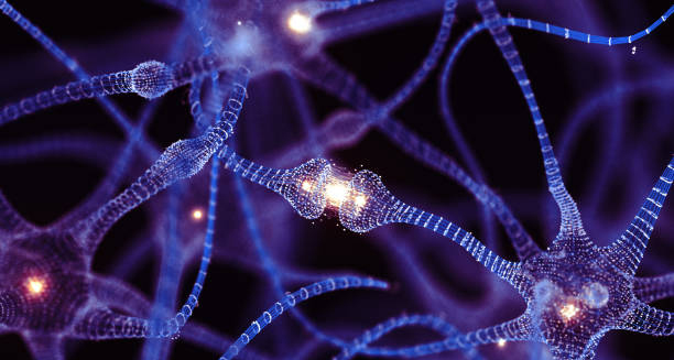 Digital illustration of brain neurons and synapses symbolising neurological treatment for chronic traumatic encephalopathy.