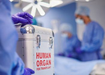 Medical team preparing for liver transplant with human organ transport container.