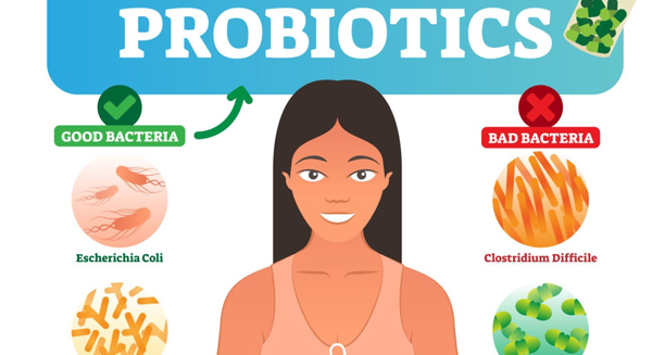 Probiotic treatment targeting Clostridium difficile and supporting good gut bacteria
