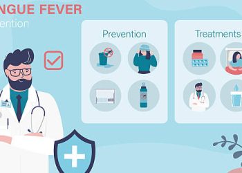 Illustrated guide showing prevention and treatment methods for dengue fever
