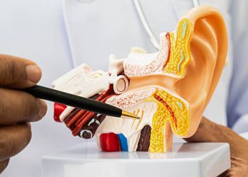 Doctor demonstrating ear anatomy and treatment of burst eardrum with a model