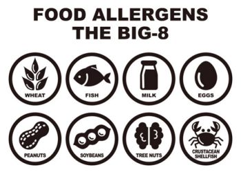The eight most common food allergens in black icon format