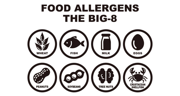 The eight most common food allergens in black icon format