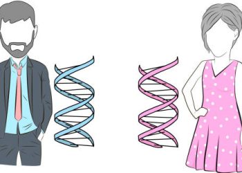 Illustration representing the biological and psychological causes of gender dysphoria