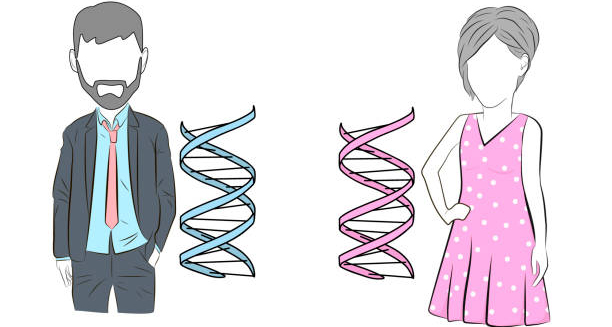 Illustration representing the biological and psychological causes of gender dysphoria