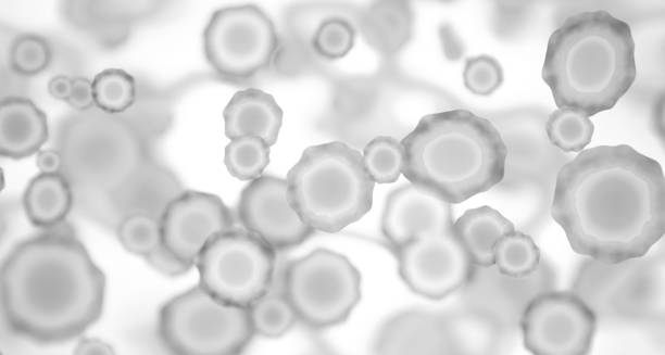 Microscopic view of the rubella virus causing German Measles