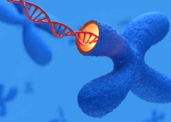 DNA strand emerging from chromosome – genetic cause of Gilbert’s Syndrome