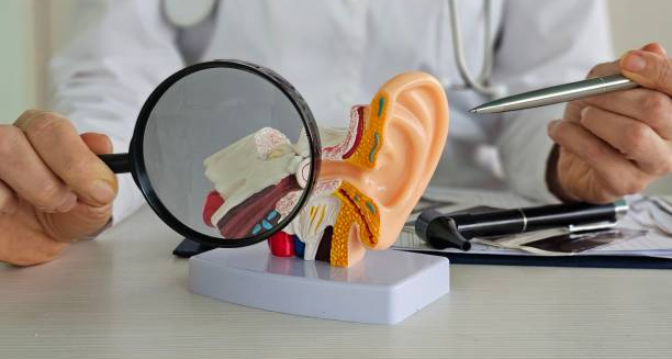 Doctor examining anatomical ear model with magnifying glass to illustrate causes of glue ear