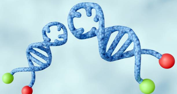 DNA mutation representing the genetic cause of Glutaric Aciduria Type 1