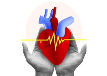 Digital illustration of a human heart held in hands with ECG line, symbolising heart block causes