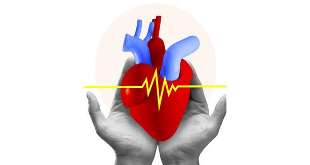 Digital illustration of a human heart held in hands with ECG line, symbolising heart block causes