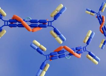 3D illustration of antibodies possibly linked to the causes of Henoch-Schönlein Purpura