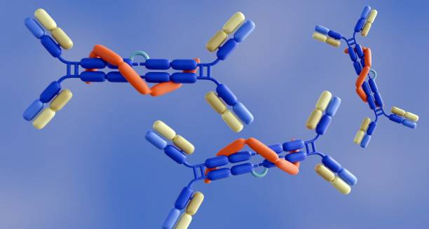 3D illustration of antibodies possibly linked to the causes of Henoch-Schönlein Purpura