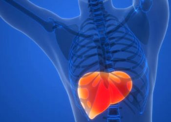 3D medical illustration of the human liver inside a semi-transparent body, highlighting liver inflammation from Hepatitis B