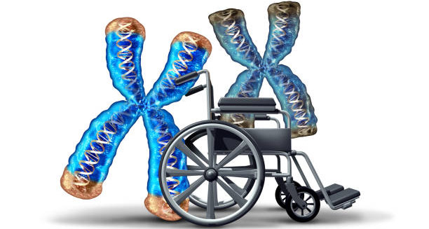 Wheelchair beside chromosomes symbolising genetic cause of hereditary spastic paraplegia