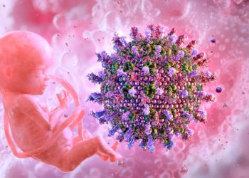 Digital illustration of virus near developing foetus representing genetic causes of Hirschsprung’s Disease