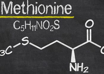 Causes of Homocystinuria
