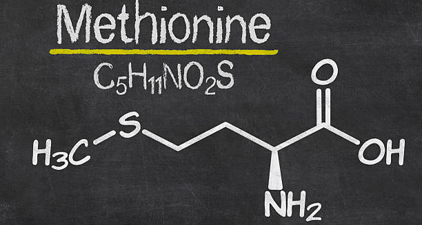 Causes of Homocystinuria