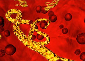 3D illustration of Staphylococcus aureus and Streptococcus pyogenes bacteria in blood