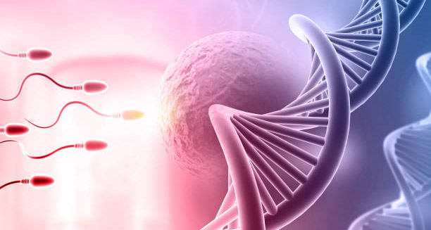 Sperm approaching egg with DNA strand representing causes of infertility