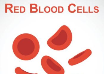 Illustration of red blood cells highlighting causes of iron deficiency anaemia