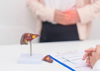Medical consultation showing a liver and gallbladder model with a patient holding their abdomen